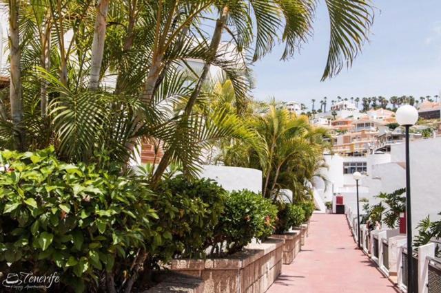 Apartament Malibu Blue Costa Adeje  Exteriér fotografie