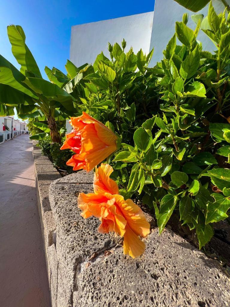 Apartament Malibu Blue Costa Adeje  Exteriér fotografie