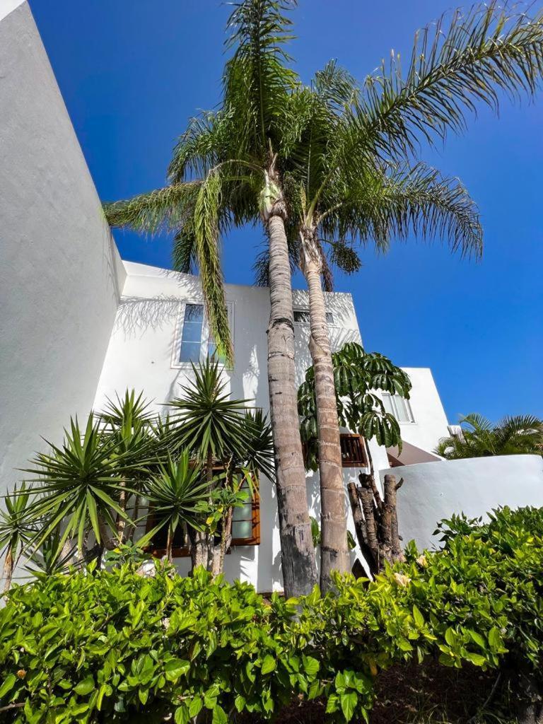 Apartament Malibu Blue Costa Adeje  Exteriér fotografie