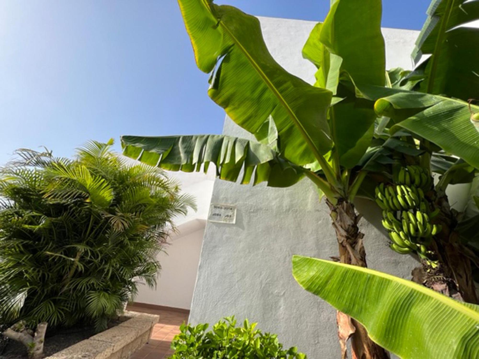Apartament Malibu Blue Costa Adeje  Exteriér fotografie